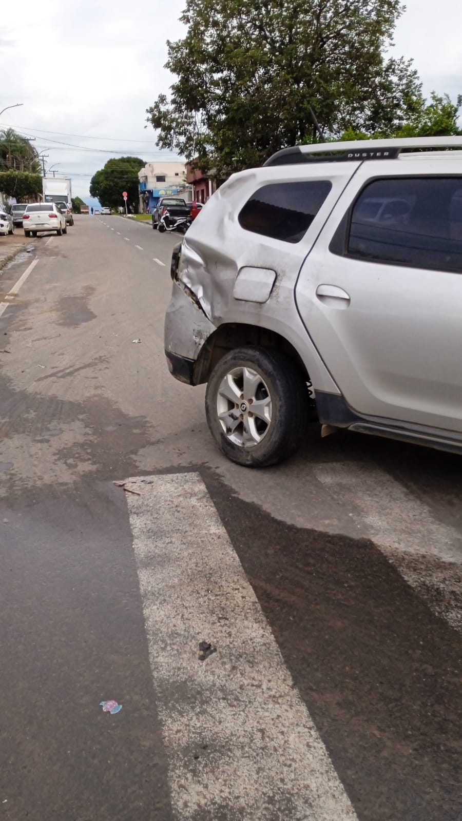 WhatsApp Image 2026-02-12 at 17.59.09